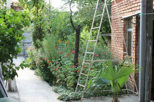Hostal Tlt Guest House