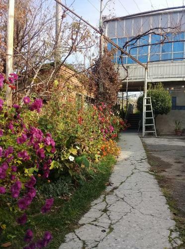 Hostal Tlt Guest House