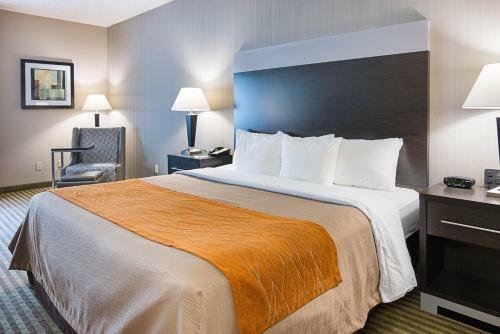 Hotel Comfort Inn