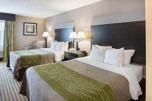 Hotel Comfort Inn