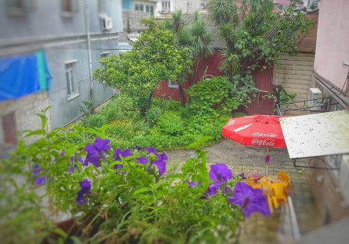 Batumi Home Hostel