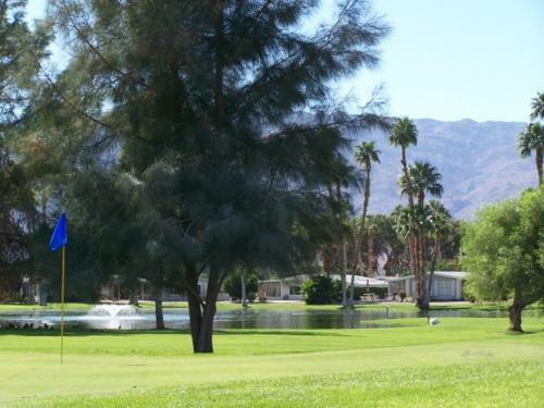 Roadrunner Club 38 Home