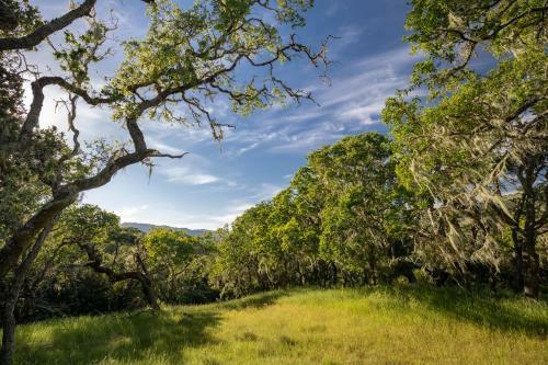 The Camp At Carmel Valley