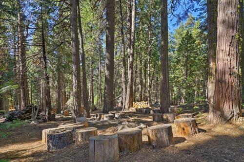 Cabin With Wraparound Deck In Big Trees Village!