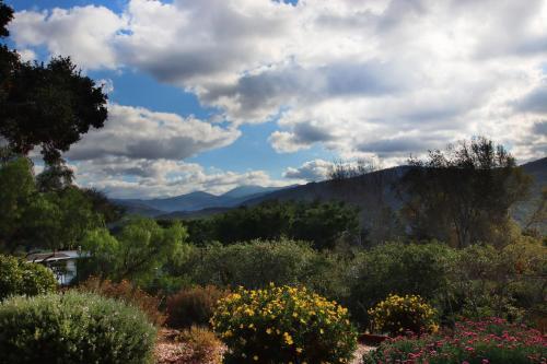 Wine Country Paradise - Private 1-acre Estate Home