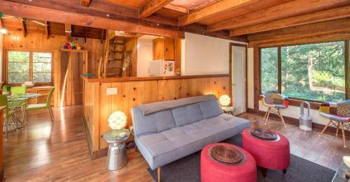Tree Fort! Redwoods! Hot Tub!! Fire Table!! Google Smart Home!! Fast Wifi!! Dog Friendly!