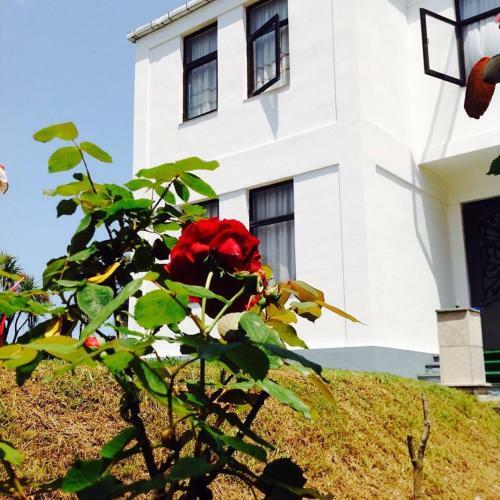 Villa Natalia Guest House