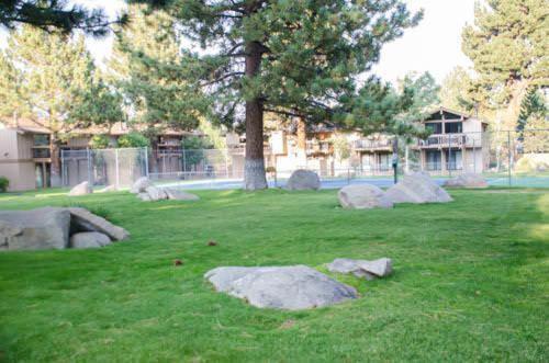 Villa De Los Pinos #35
