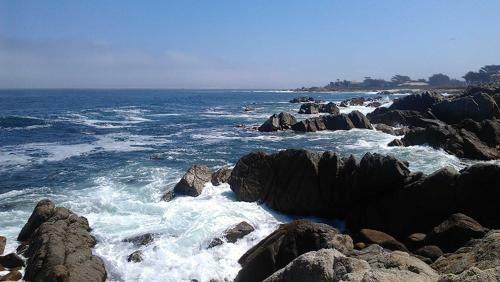 Stunning Monterey Home With Views Right On The Bay!