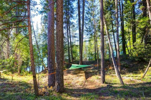 Griffin's Lair - Spacious & Modern Lakefront Cabin Home
