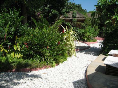 Hostal Hibiscus House Gambia