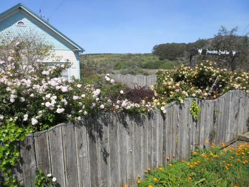 Agroturismo Pescadero Creek Inn