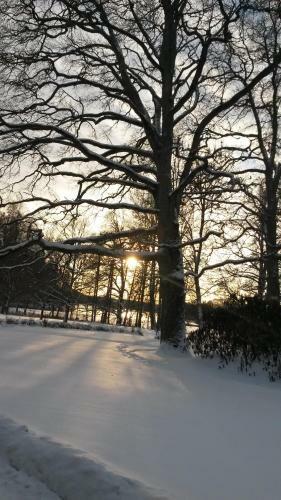 Hotel Svart� Manor