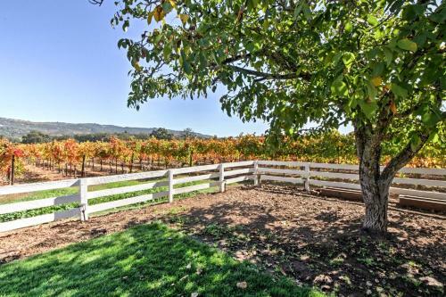 Beautiful Sonoma House With Patio And Vineyard Views!
