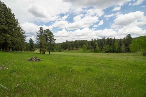 Modern Evergreen Cabin On 35 Acres With Views!