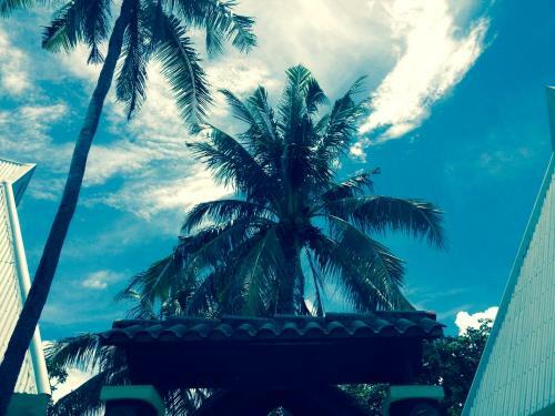 Hotel Cordova Reef Village Resort
