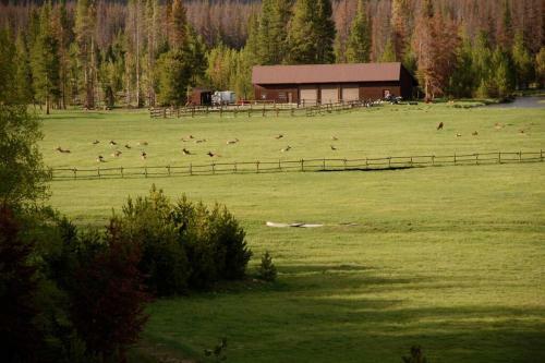 Meadowview Mountain Lodge