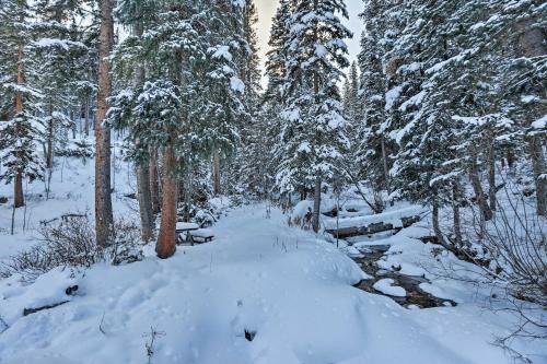 Cozy Idaho Springs Cottage With Mill Creek Views!