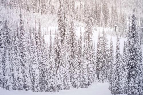 Seasons Four #145