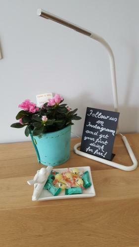 B&B Het Koekoeksnest Schelle