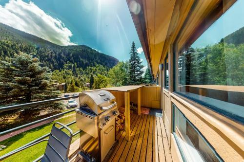 Perfect Pitkin Creek Condo