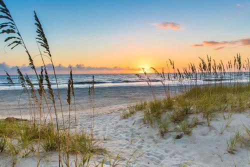 Hotel Springhill Suites By Marriott Amelia Island