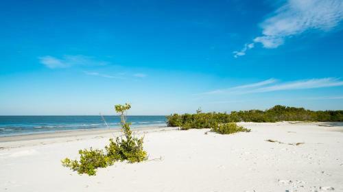Apartamento Dolphin - Canalfront Retreat - Heated Pool & Patio Duplex