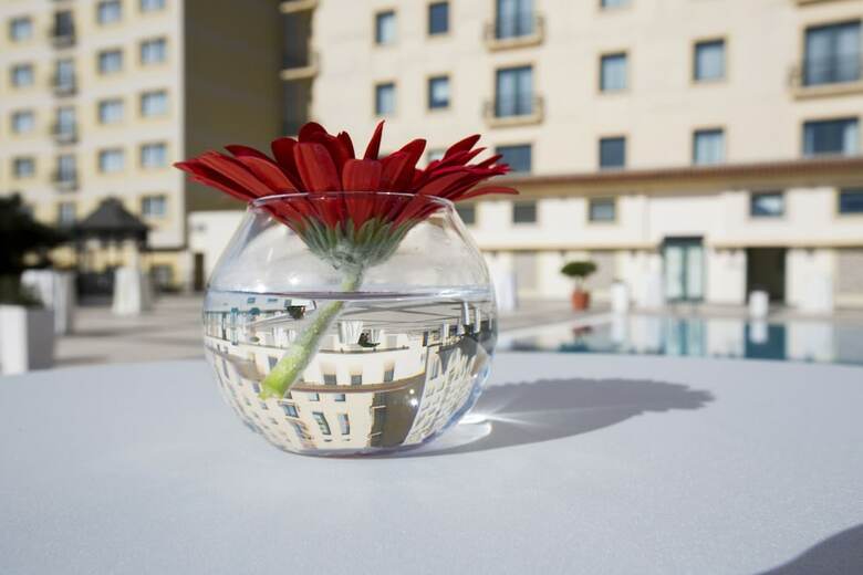 Hotel Hyatt Regency Baku