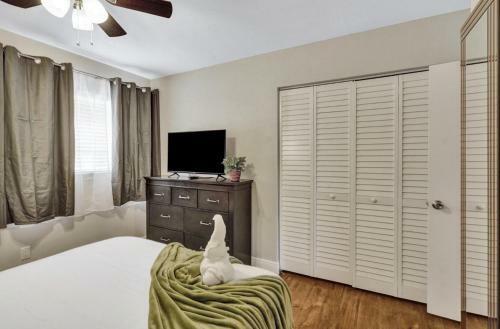Private Pool Beautiful Updated 4br Home 2bth