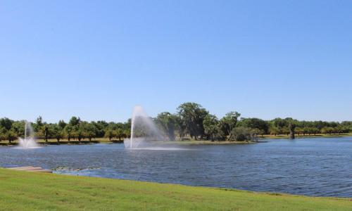 4 Bedroom Home At Ridgewood Lakes 1214
