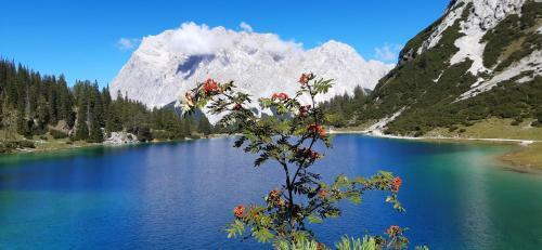 Apartamento Haus Alpenblick