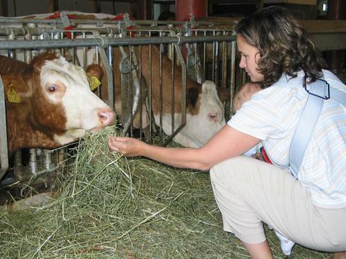 Agroturismo Familienferienhof Stabauer