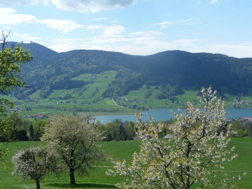 Agroturismo Familienferienhof Stabauer