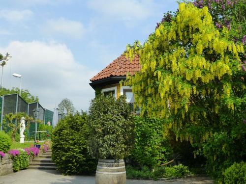Posada Gasthof Hohlwegwirt