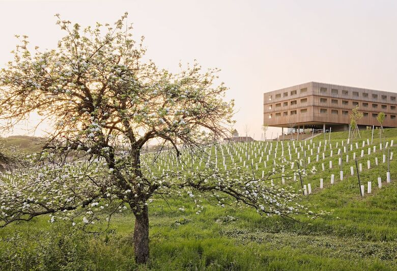 Hotel Loisium Wine & Spa Resort S�dsteiermark