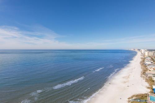 Treasure Island 2109