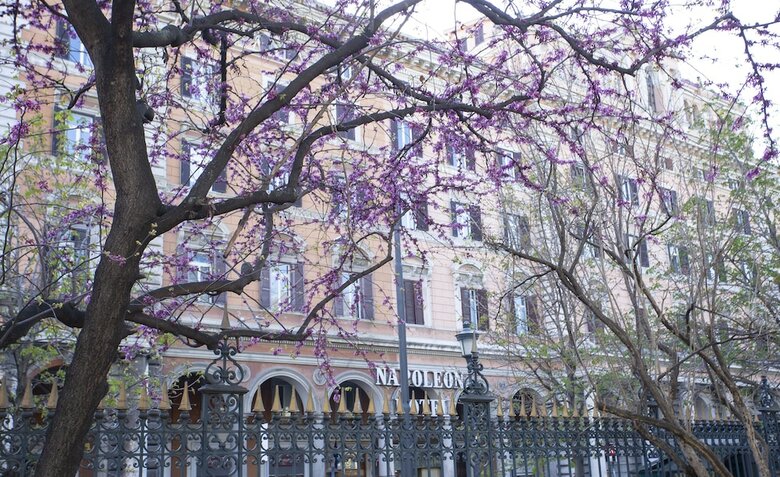 Hotel Napoleon
