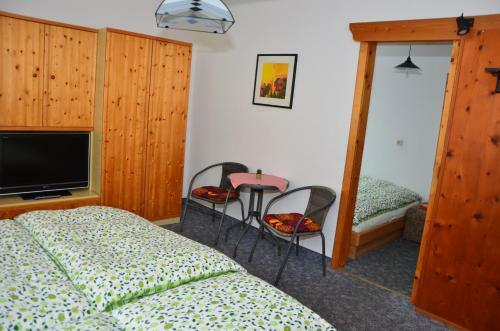 Hostal Haus Dachstein Schnitzer