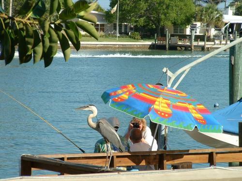 Apartamento Affordable Beach Condos -two Bed Condo With Full Kitchen Condo