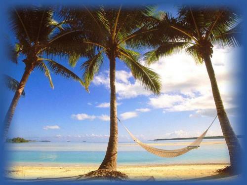 Apartamento Affordable Beach Condos -two Bed Condo With Full Kitchen Condo