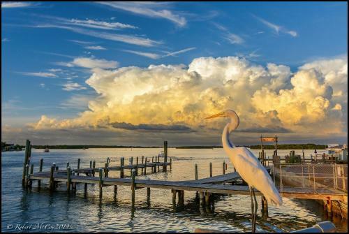 Apartamento Affordable Beach Condos -two Bed Condo With Full Kitchen Condo