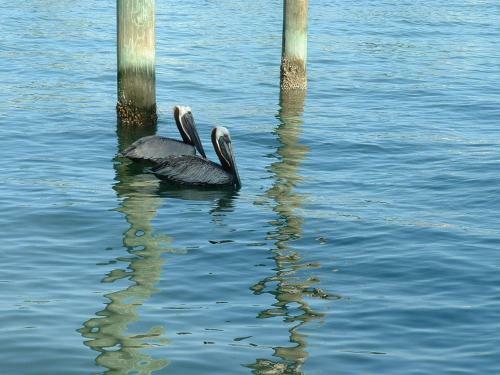 Affordable Beach Condos -three Bed 3 Bath House Home