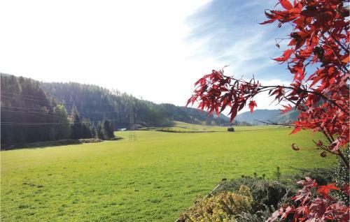 Apartment Flachau Liftstrasse