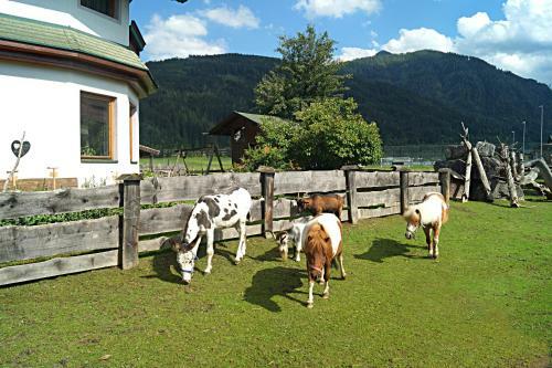 Hotel Sieglhub