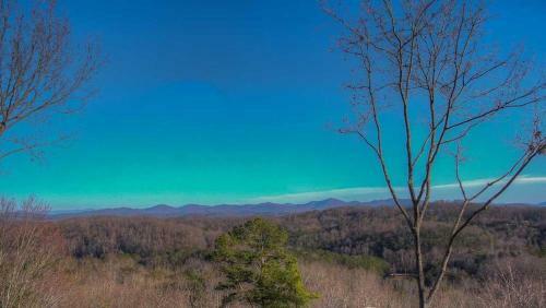 Eddiebear By Escape To Blue Ridge