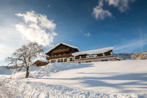 Hostal Gasthof Horner