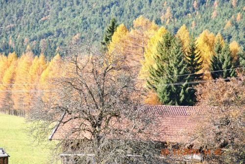 Hostal Gasthof Panorama