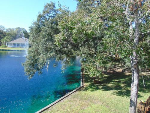 Apartamento Ocean Walk Resort 2/2