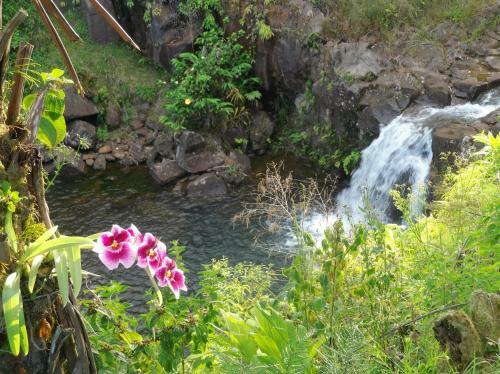 Heavenly Enchanting Waterfall In Hilo