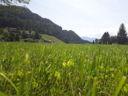 Agroturismo Hofbauer